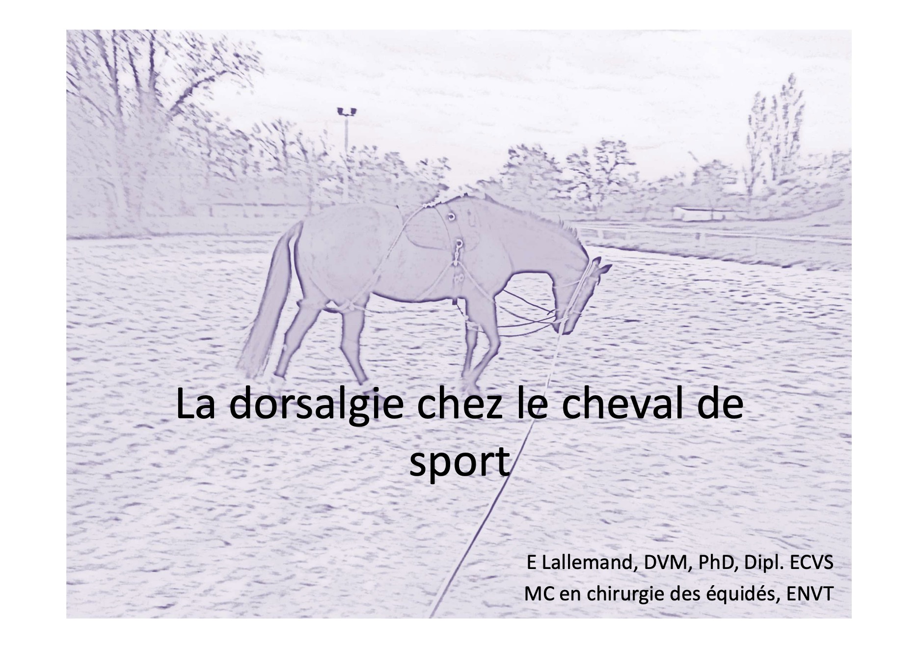 Replay Junior 20241202 Dorsalgies du cheval.